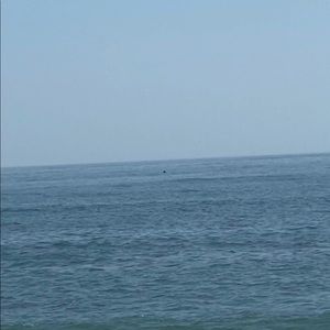 Meet your Posher, Sheila